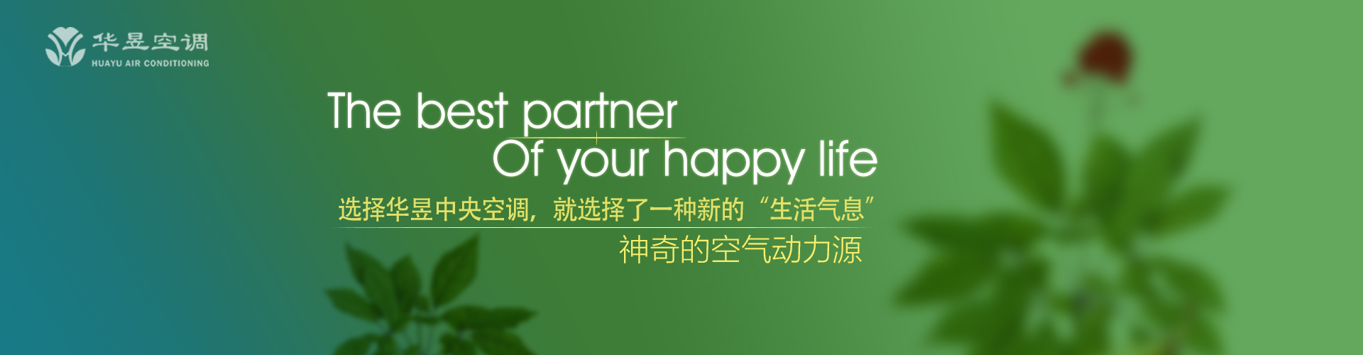 接二连三网